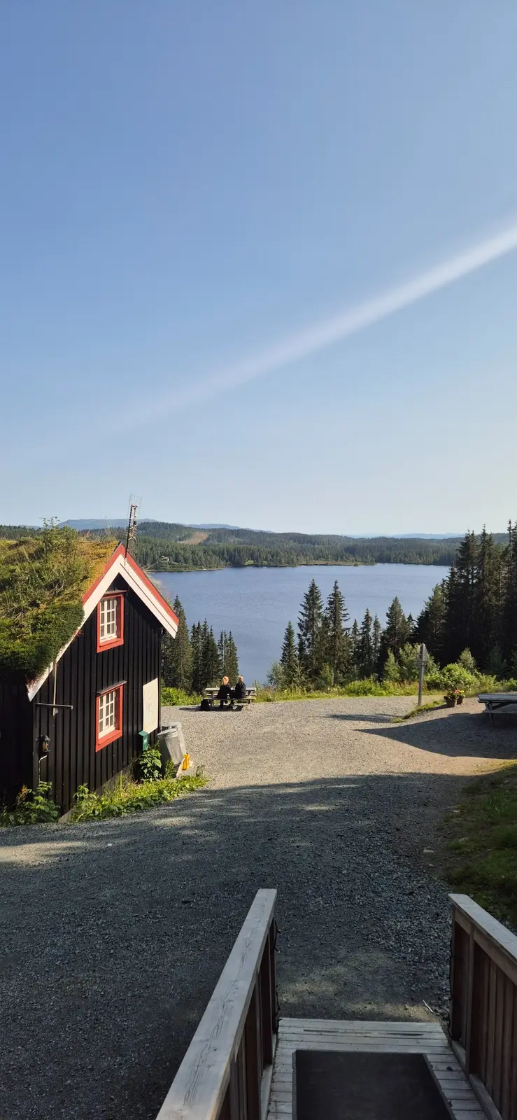 Forest landscape in Bymarka outside Trondheim