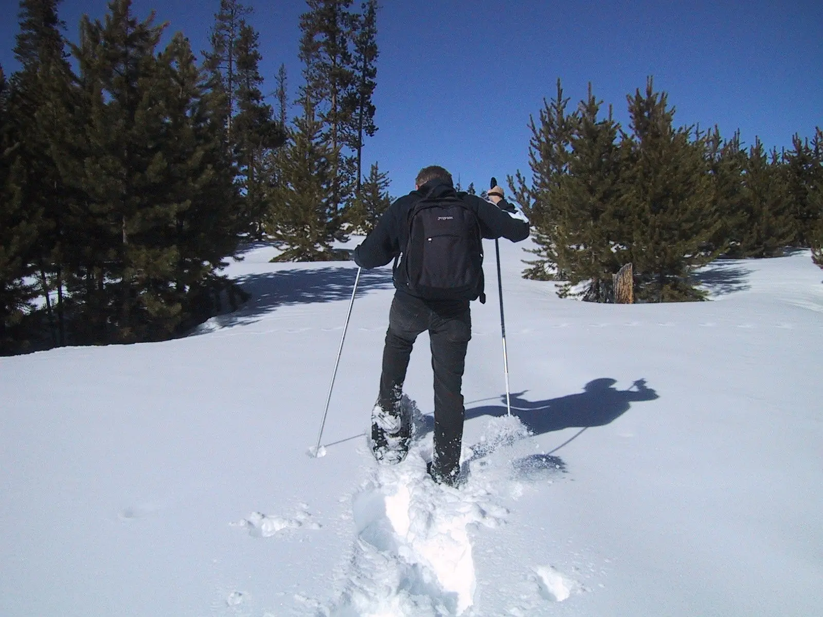 Snowshoe walk through the winter forest outside Trondheim